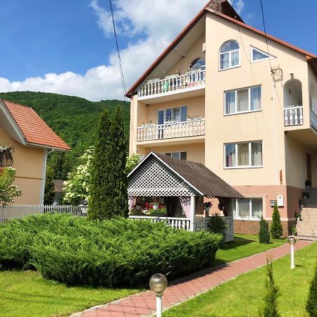 У Оксани Hotel Solochin Bagian luar foto