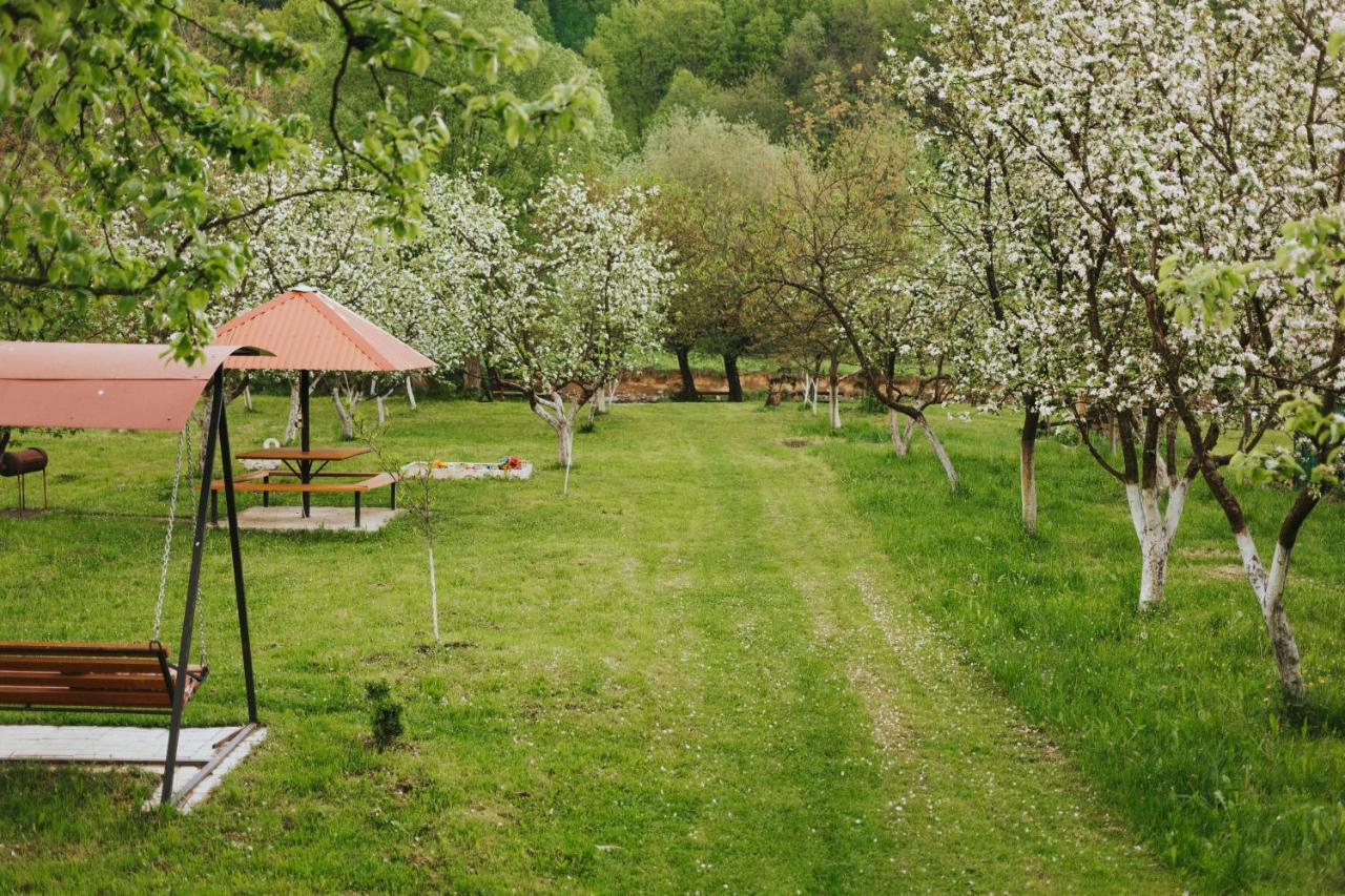 У Оксани Hotel Solochin Bagian luar foto