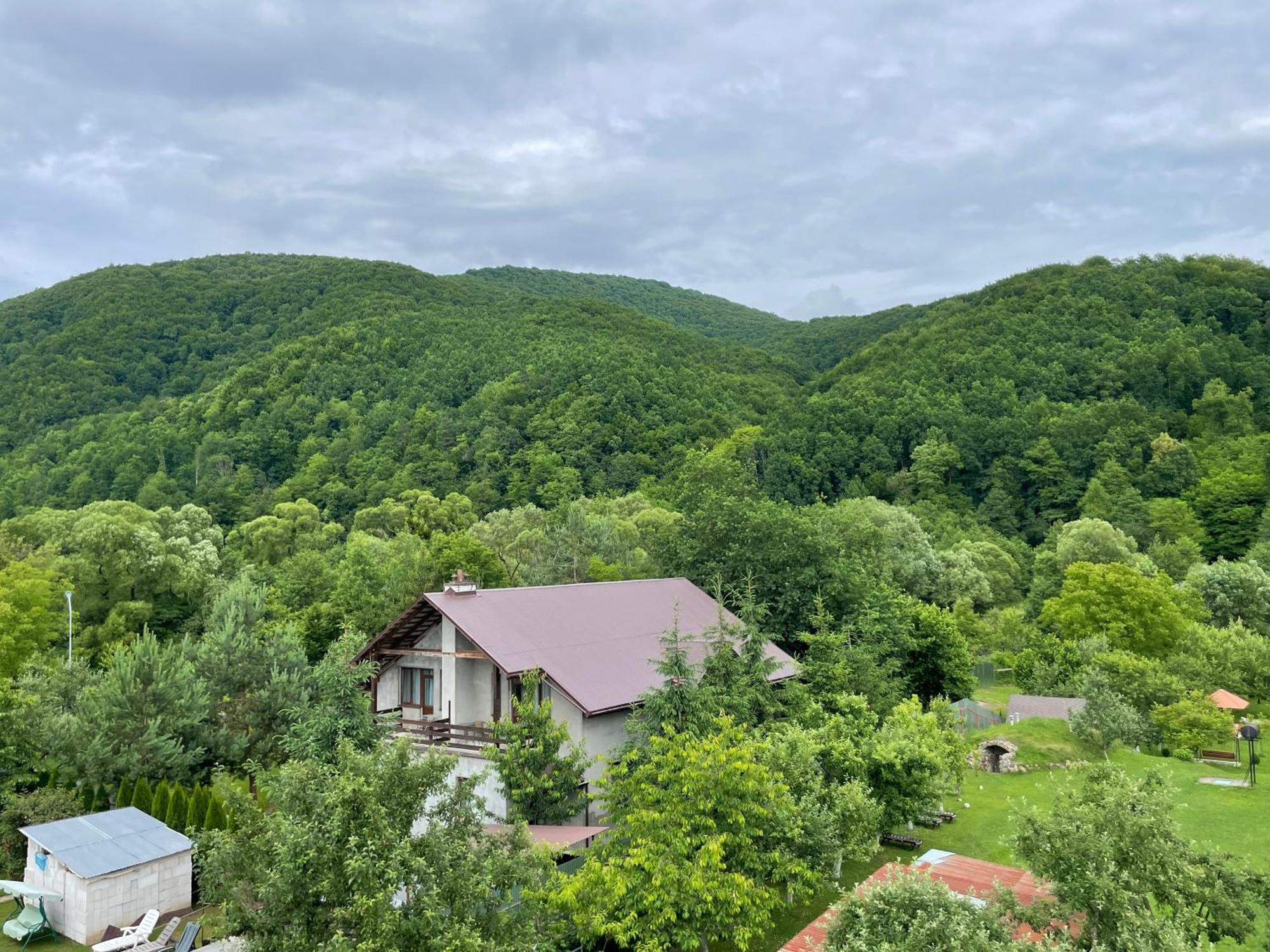 У Оксани Hotel Solochin Bagian luar foto